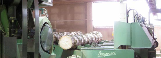 Volgger OHG/SNC